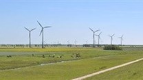 Private wind power 'needs the state'