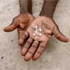 Zimbabwe takes heart from Antwerp trial sale of gems
