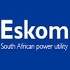 Eskom building programme builds skills