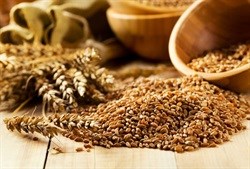 Local grains rise on weaker rand