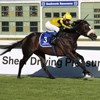 Cape Town Noir wins at L'Ormarins Queen's Plate