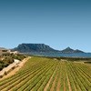 Ten destinations to add to your Cape Town tours