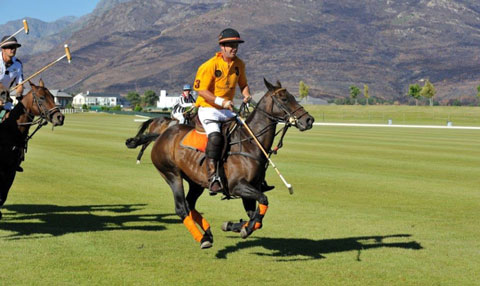 Top class polo event in Cape Town