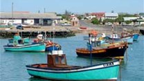 Fishing boats moored in Struisbaai. Fishermen in South Africa have been granted a two-month reprieve and can go fishing for the moment while a dispute with the authorities over fishing permits is resolved. Image:
