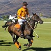 Top class polo event in Cape Town