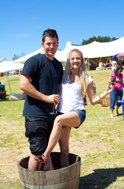 Diarise Feast of the Grape at Durbanville in March