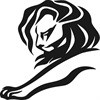 Major changes to Cyber Lions category