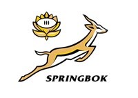 SARU signs contracts with Springbok women