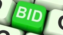 Online auctioning grows in South Africa