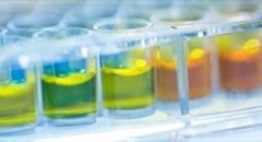 Global tissue diagnostics market grows sharply