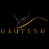 Call for nominations for Gauteng Sport Awards
