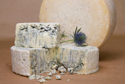 Expect more at the SA Cheese Festival