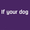 New integrated campaign 'Don't Worry. Be Hollard