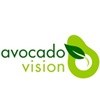 Sanlam and Avocado Vision partner to improve financial literacy