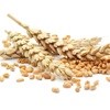 Grain futures mostly lower on firmer currency