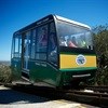 Visitor numbers up at Cape Point