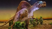 Dinosaurs to appear in Joburg and Cape Town
