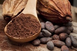 With cocoa demand on rise, LatAm seeks breakthrough