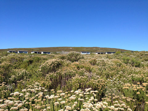 Back to nature - at Grootbos.