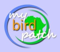 Plan to build a bird-friendly corridor in Cape Town