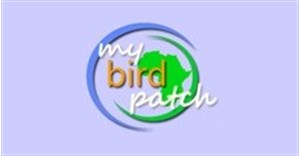 Plan to build a bird-friendly corridor in Cape Town