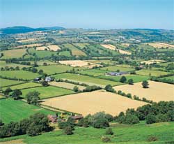 Commercial farmers have rejected the proposals saying that they expect compensation for their lands. Image: