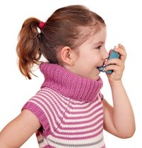 Higher BMI increases the risk of asthma in children