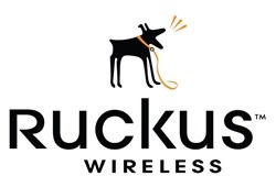 Local reseller scoops Ruckus Wireless award