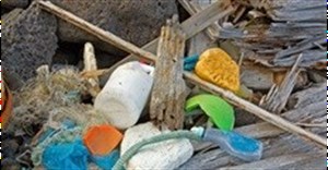 Combating marine litter a priority of plastics industry