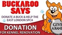 Buckaroo initiative making a difference at SPCA