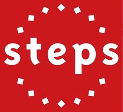 African filmmakers receive support from Steps