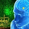 Glucose 'control switch' in the brain key to both types of diabetes