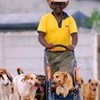 Helping animals, helping people in Khayelitsha