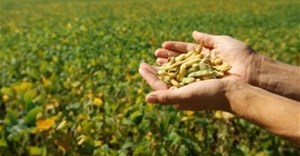 Eastern Cape needs funds for Argentinian soya joint venture