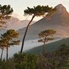 Cape Town's Bioregional Plan welcomed