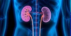 Free screenings to raise awareness of kidney disease
