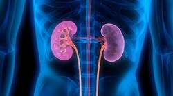 Free screenings to raise awareness of kidney disease