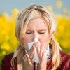 Hay fever season could peak following wet winter