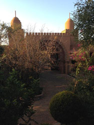 A touch of the Orient, in Elandsfontein.