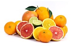 SA ready to fight EU ban on citrus fruit