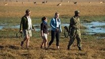 Kafue National Park in Zambia offers the ideal safari getaway