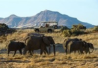 Wilderness Safaris launches guided Namibia exploration