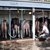 GEA Farm Technologies to showcase world-first milking cluster