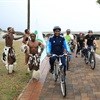 Non-motorised transport the way to go in eThekwini