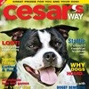 Canine Zone new name for Cesar's Way magazine
