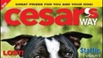 Canine Zone new name for Cesar's Way magazine