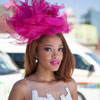 The Sansui Summer Cup 2014