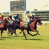 Bourbon, burgers and beers at Turffontein race day