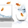 Rise of the infographic and the goldfish attention span...