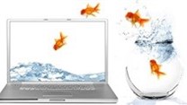 Rise of the infographic and the goldfish attention span...